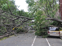 Hurricane Irene - August 2011